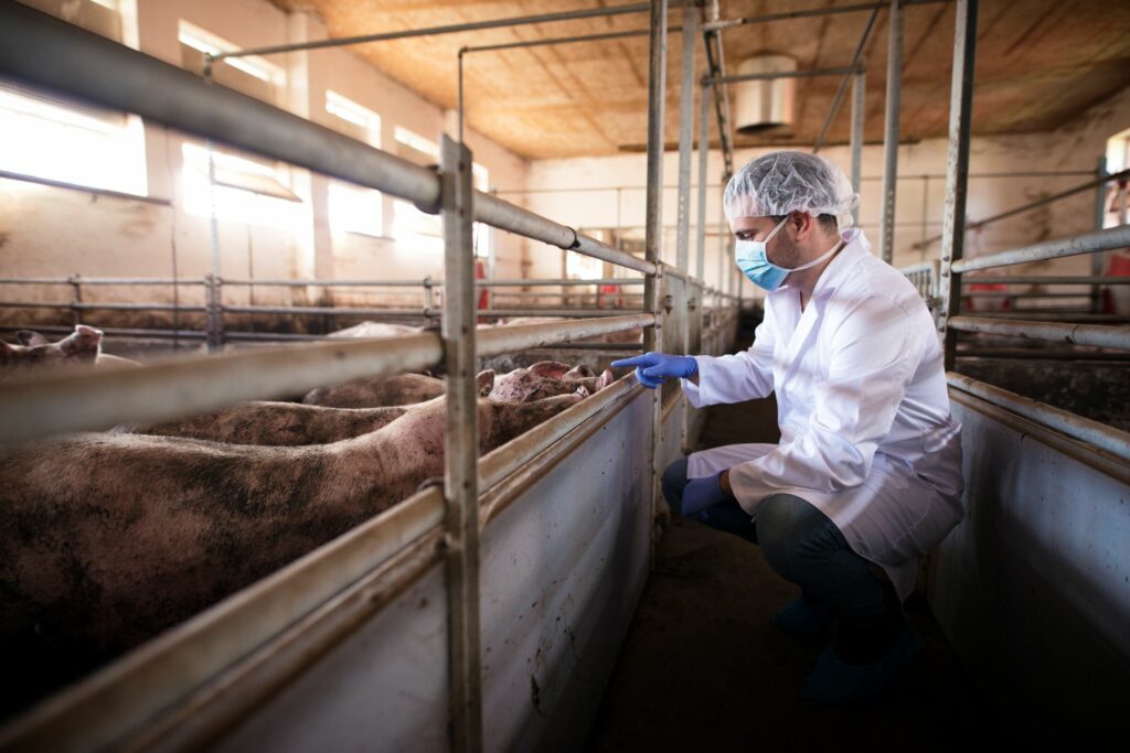 bioseguridad en el sector ganadero