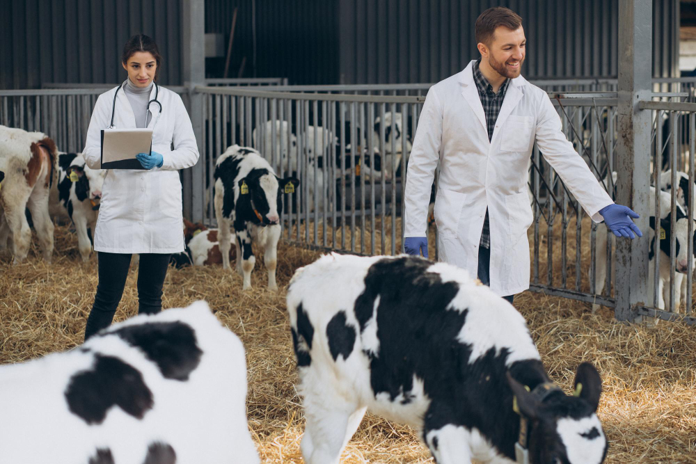 Los veterinarios deben hacer el diagnóstico por endoparásitos