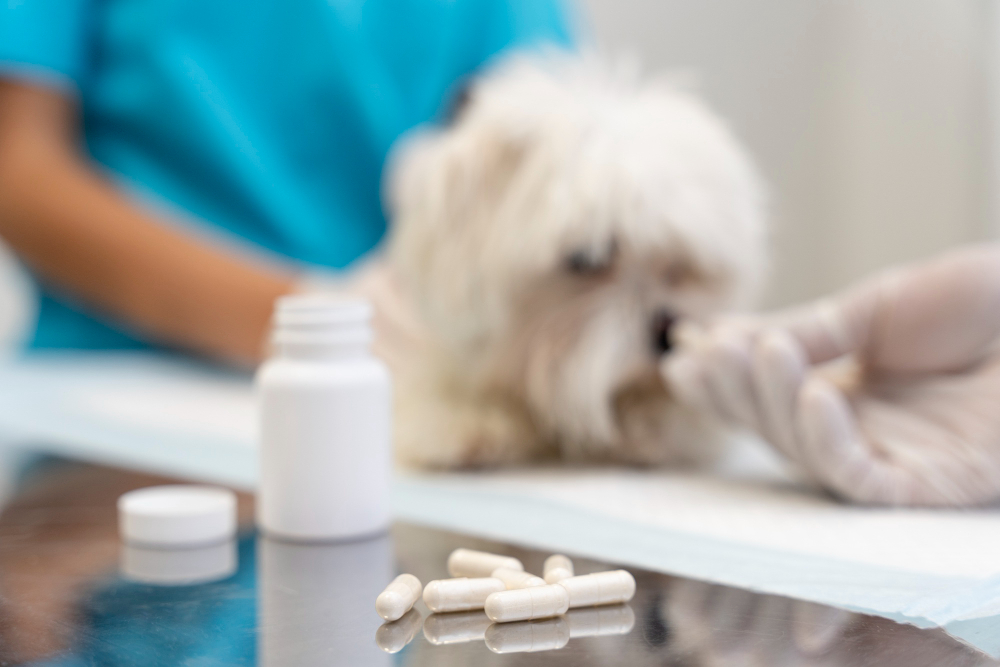 Los suplementos alimenticios para animales deben ser prescritos por un veterinario