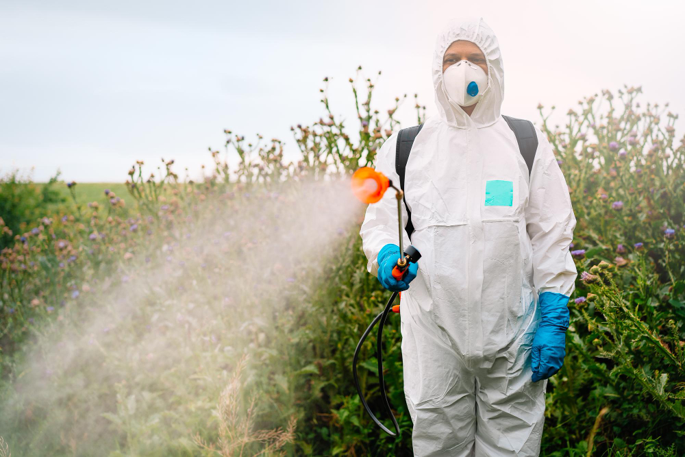 Escoge el producto en función de las características de los insecticidas y las necesidades de la explotación