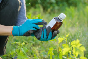 productos fitosanitarios en cultivos agrícolas