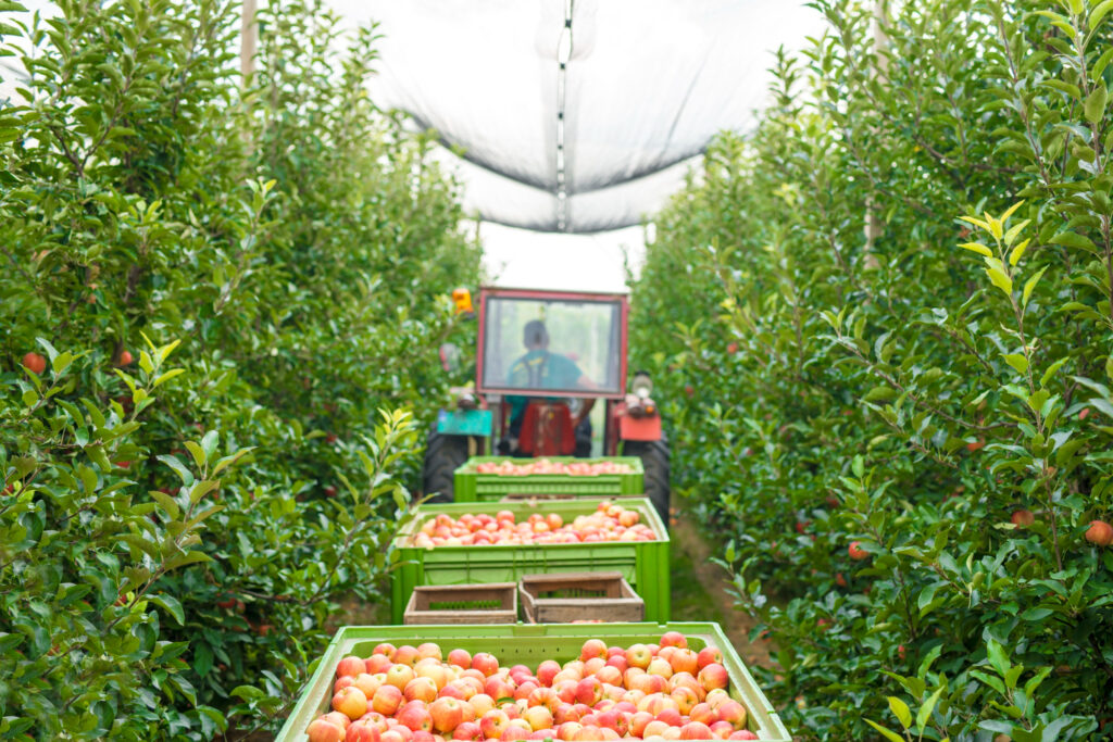 productos fitosanitarios en cultivos agrícolas