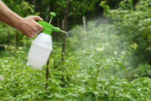 La evolución de los detergentes a los biocidas inteligentes