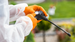 Tipos de biocidas: normativa y requisitos para su aplicación profesional